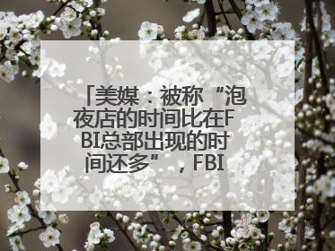 美媒：被称“泡夜店的时间比在FBI总部出现的时间还多”，FBI局长提起诉讼