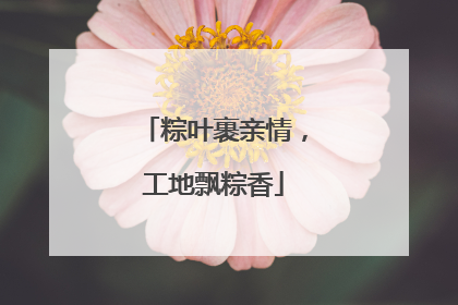 粽叶裹亲情，工地飘粽香