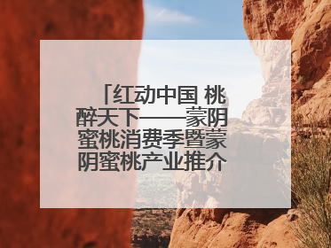 红动中国 桃醉天下——蒙阴蜜桃消费季暨蒙阴蜜桃产业推介会成功举办