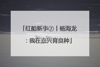 红船新事⑦丨杨海龙：我在嘉兴育良种
