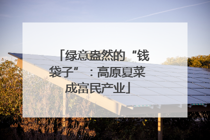 绿意盎然的“钱袋子”：高原夏菜成富民产业