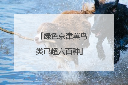 绿色京津冀鸟类已超六百种