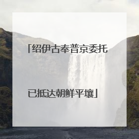 绍伊古奉普京委托已抵达朝鲜平壤