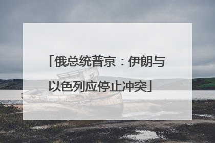 俄总统普京：伊朗与以色列应停止冲突