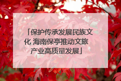 保护传承发展民族文化 海南保亭推动文旅产业高质量发展