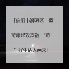 信阳市浉河区：蓝莓串起致富链 “莓”好生活入画来