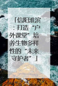 信阳淮滨：打造“户外课堂”培养生物多样性的“未来守护者”