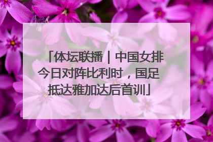 体坛联播｜中国女排今日对阵比利时，国足抵达雅加达后首训