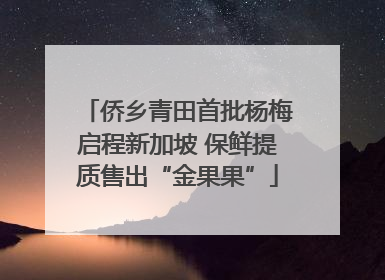 侨乡青田首批杨梅启程新加坡 保鲜提质售出“金果果”