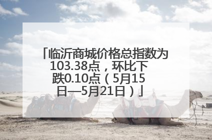 临沂商城价格总指数为103.38点，环比下跌0.10点（5月15日—5月21日）