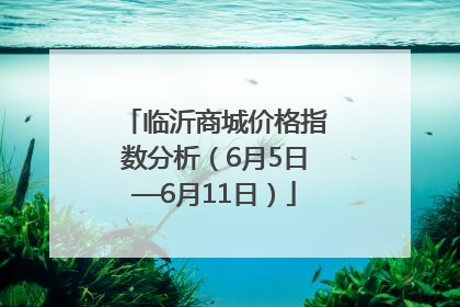 临沂商城价格指数分析（6月5日—6月11日）