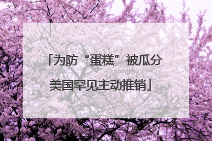 为防“蛋糕”被瓜分 美国罕见主动推销