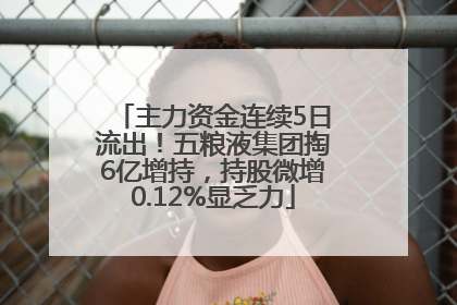 主力资金连续5日流出！五粮液集团掏6亿增持，持股微增0.12%显乏力