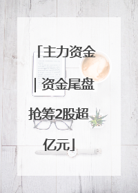 主力资金｜资金尾盘抢筹2股超亿元