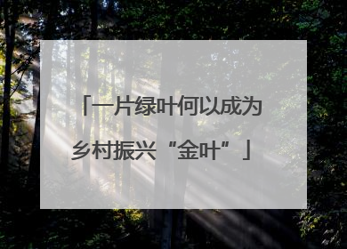 一片绿叶何以成为乡村振兴“金叶”