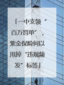 一中支领“百万罚单”，紫金保险何以甩掉“违规频发”标签