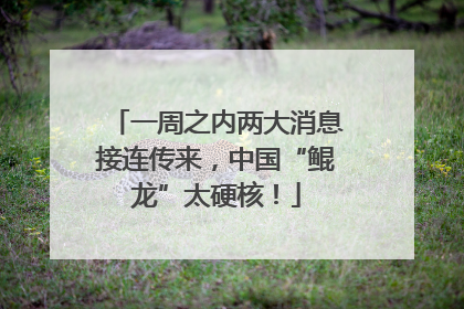 一周之内两大消息接连传来，中国“鲲龙”太硬核！