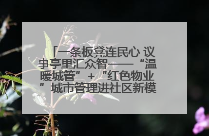 一条板凳连民心 议事亭里汇众智——“温暖城管”+“红色物业”城市管理进社区新模式绘就城市管理社区治理新画卷