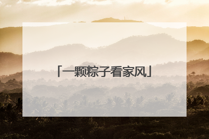 一颗粽子看家风