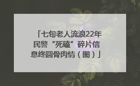 七旬老人流浪22年 民警“死磕”碎片信息终圆骨肉情（图）