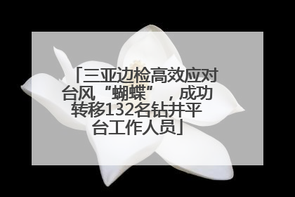 三亚边检高效应对台风“蝴蝶”，成功转移132名钻井平台工作人员
