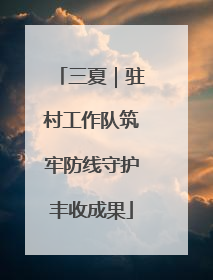 三夏｜驻村工作队筑牢防线守护丰收成果