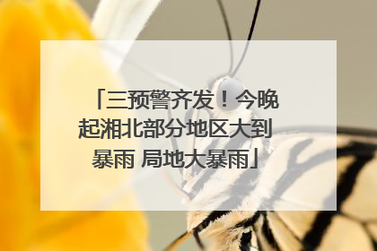 三预警齐发！今晚起湘北部分地区大到暴雨 局地大暴雨