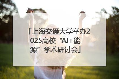 上海交通大学举办2025高校“AI+能源”学术研讨会