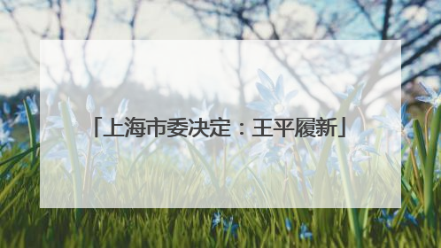 上海市委决定：王平履新