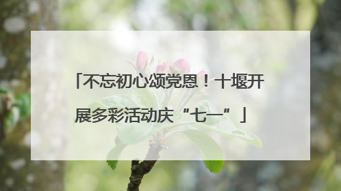 不忘初心颂党恩！十堰开展多彩活动庆“七一”