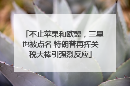 不止苹果和欧盟，三星也被点名 特朗普再挥关税大棒引强烈反应