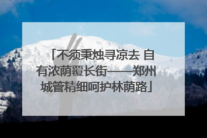 不须秉烛寻凉去 自有浓荫覆长街——郑州城管精细呵护林荫路