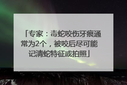 专家：毒蛇咬伤牙痕通常为2个，被咬后尽可能记清蛇特征或拍照