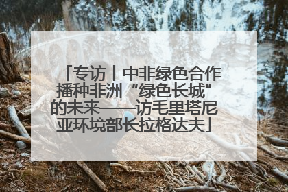 专访丨中非绿色合作播种非洲“绿色长城”的未来——访毛里塔尼亚环境部长拉格达夫