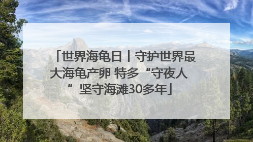 世界海龟日丨守护世界最大海龟产卵 特多“守夜人”坚守海滩30多年