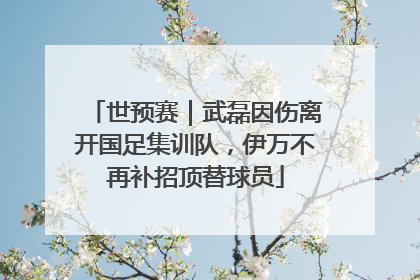 世预赛｜武磊因伤离开国足集训队，伊万不再补招顶替球员