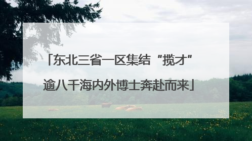 东北三省一区集结“揽才” 逾八千海内外博士奔赴而来