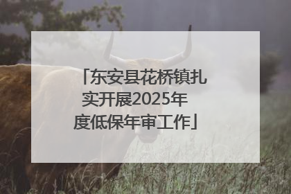 东安县花桥镇扎实开展2025年度低保年审工作