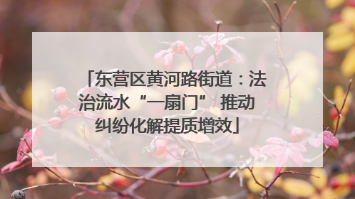 东营区黄河路街道：法治流水“一扇门” 推动纠纷化解提质增效