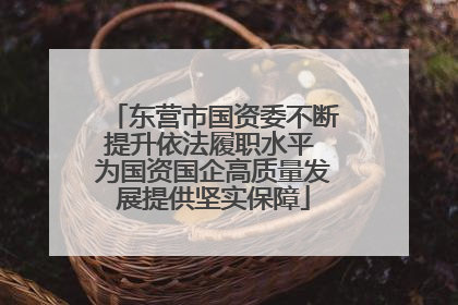 东营市国资委不断提升依法履职水平 为国资国企高质量发展提供坚实保障