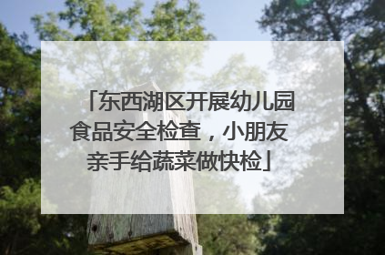 东西湖区开展幼儿园食品安全检查，小朋友亲手给蔬菜做快检