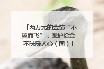 两万元的金饰“不翼而飞”，医护拾金不昧暖人心（图）
