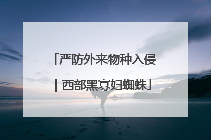 严防外来物种入侵｜西部黑寡妇蜘蛛