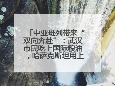 中亚班列带来“双向奔赴”：武汉市民吃上国际粮油，哈萨克斯坦用上鄂产光电屏