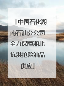 中国石化湖南石油分公司全力保障湘北抗洪抢险油品供应