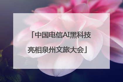 中国电信AI黑科技亮相泉州文旅大会