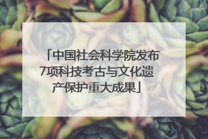 中国社会科学院发布7项科技考古与文化遗产保护重大成果