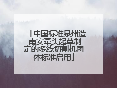 中国标准泉州造 南安牵头起草制定的多线切割机团体标准启用