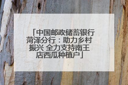 中国邮政储蓄银行菏泽分行：助力乡村振兴 全力支持南王店西瓜种植户