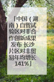 中国（湖南）自贸试验区对非合作创新成果发布 长沙片区对非贸易年均增长141%